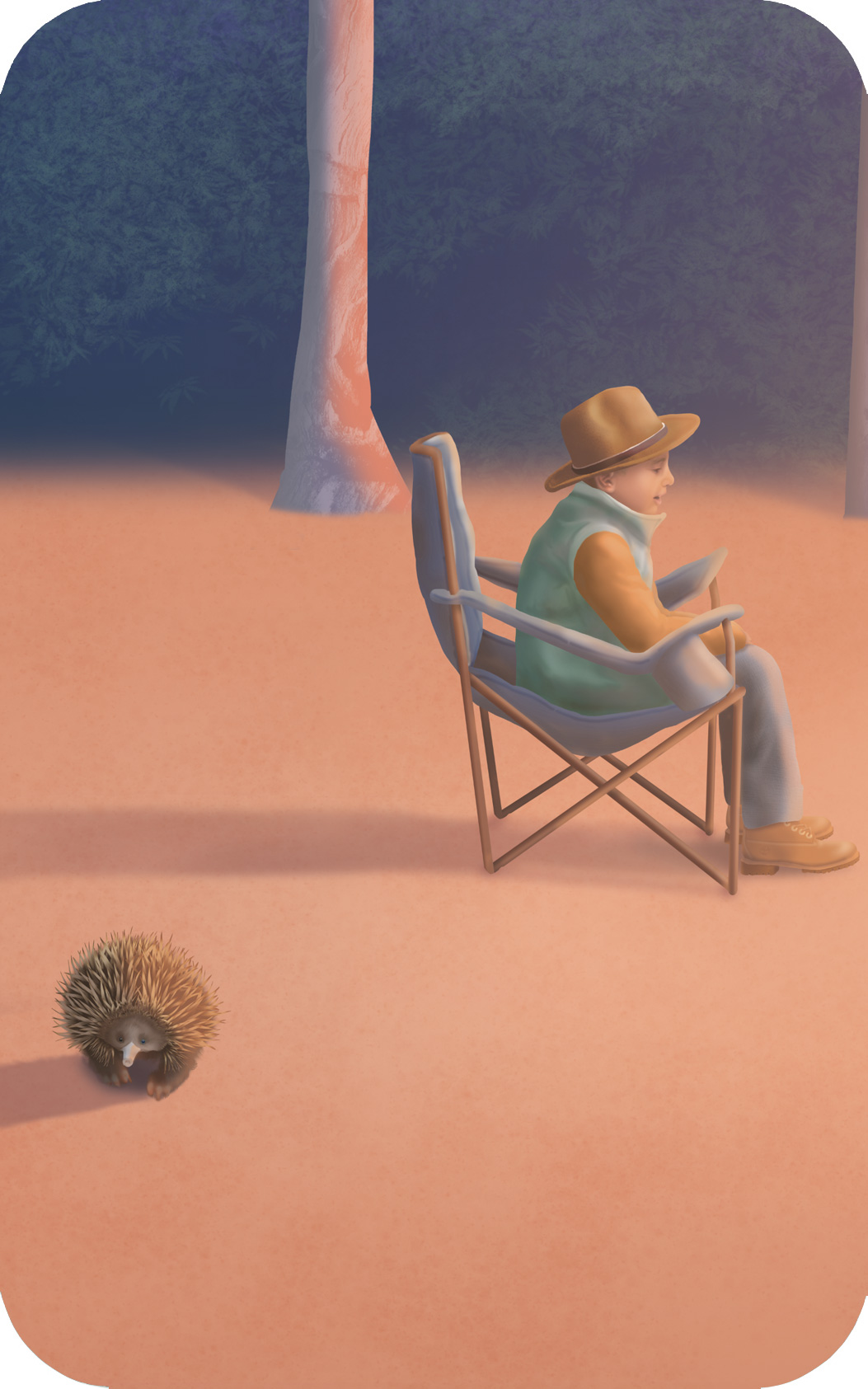 Australian bush animals kids wallpaper wall mural echidna