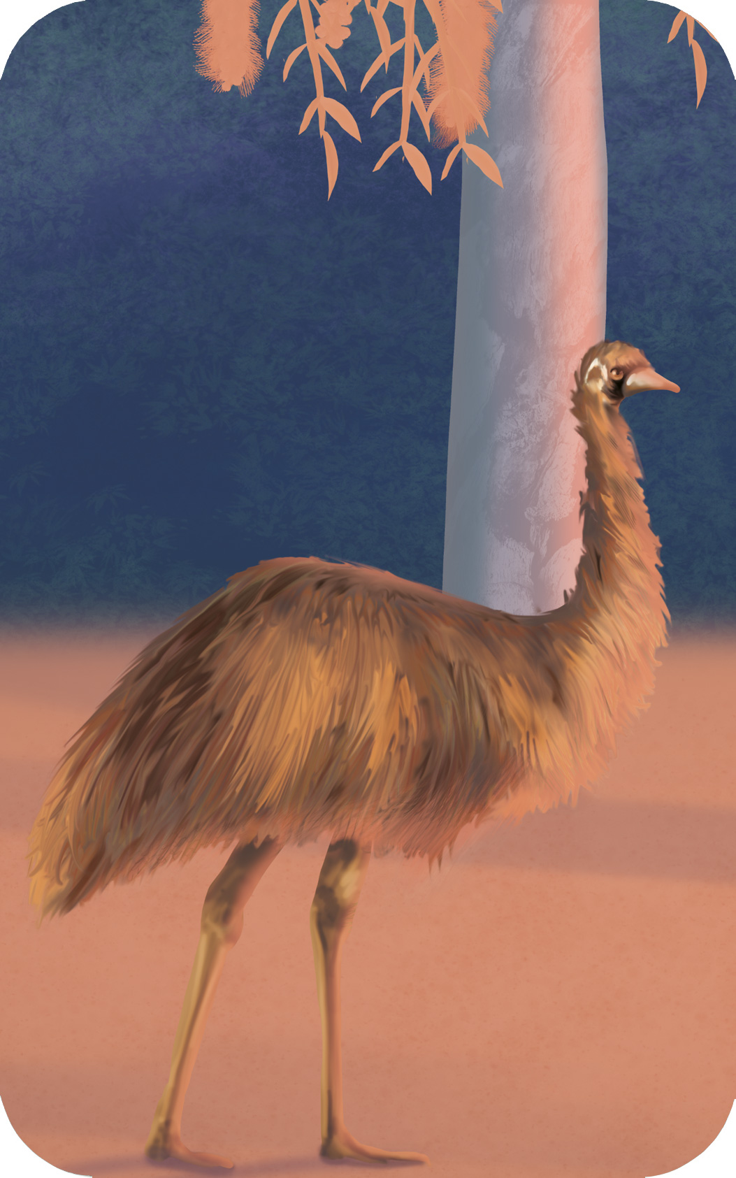 Australian bush animals kids wallpaper wall mural emu