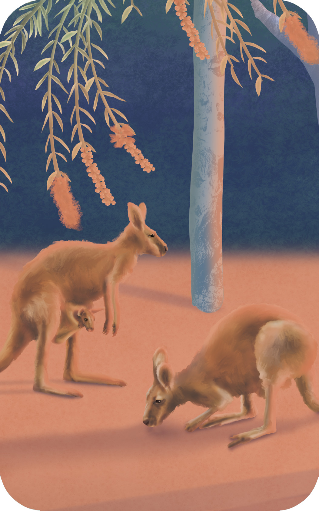Australian bush animals kids wallpaper wall mural kangaroo