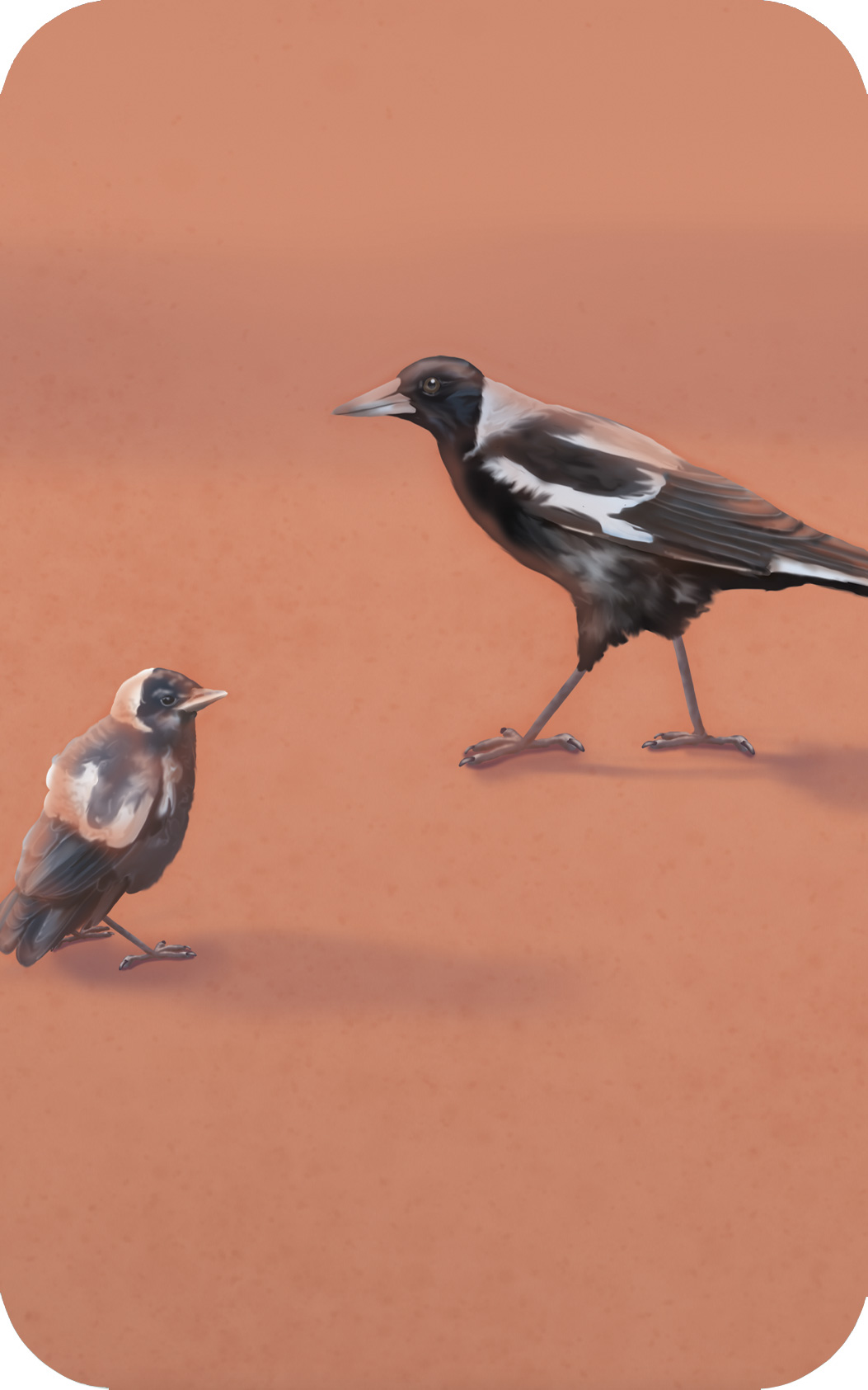 Australian bush animals kids wallpaper wall mural magpies